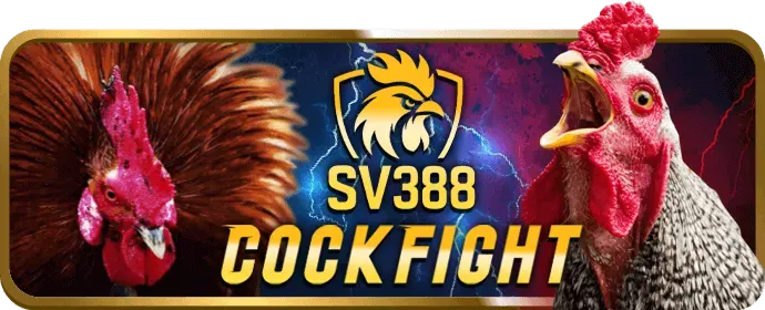Bước 3: Tích Lũy Điểm VIP